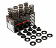 Lotus 8V Twin Cam Piper Cams Double Valve Springs Kit VDSLOT8VTCK