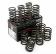 Ford 3.0L ESSEX V6 Engines Piper Cams Single Valve Springs VSSV6