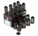 Ford 1.6 1.8 2.0 Zetec R Black top Piper Cams Single Valve Springs inc caps SC70 VSSZETAR