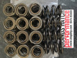 Uprated Double Valve Springs Vauxhall C20XE Z20LET C20LET X14XE X16XE X20XE Ecotec